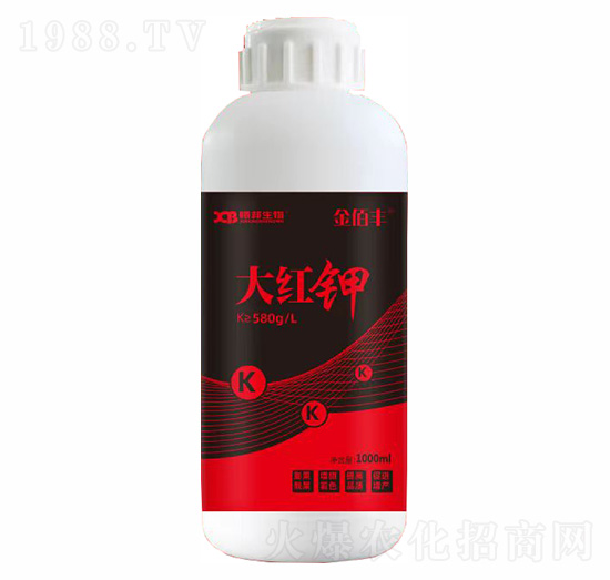 ��t�-��İ�S-�ذ�����