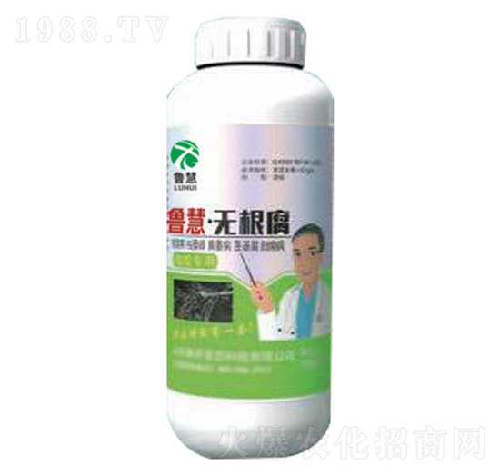 無(wú)根腐-魯慧生物