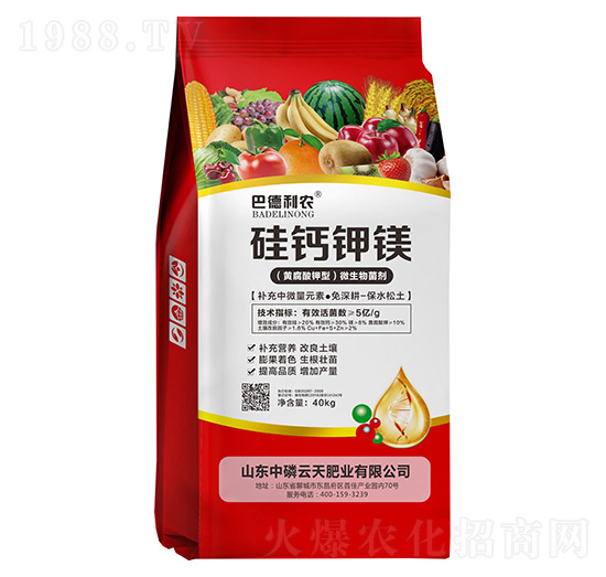 ���}��V-�͵����r(n��ng)-��������