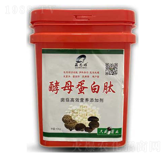 酵母蛋白肽-菇為媒-科達(dá)生物