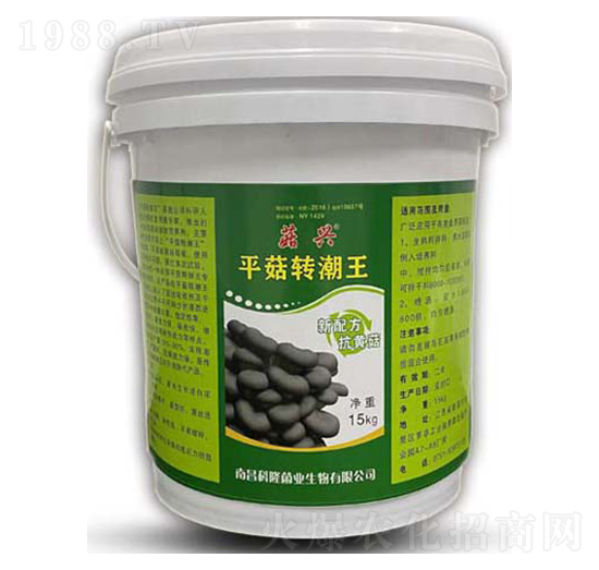 平菇轉(zhuǎn)潮王-菇興-科達(dá)生物