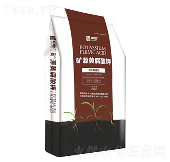 �VԴ�S�����-����ʘI(y��)