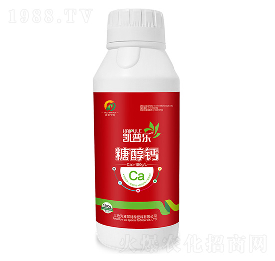 �Ǵ��}-�P�՘�-�Ŵ�����