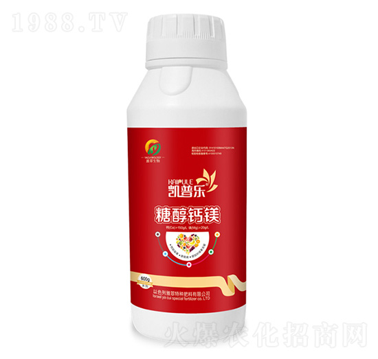 �Ǵ��}�V-�P�՘�-�Ŵ�����