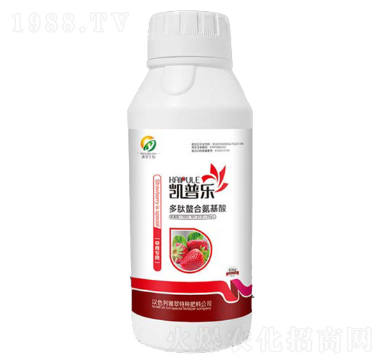 ��ݮ���ö������ϰ�����-�P�՘�-�Ŵ�����