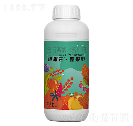 追唯它穩(wěn)果型-鄉(xiāng)喜