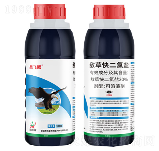 20%���ݿ�����}-��(zh��n)�w��-����(l��i)��