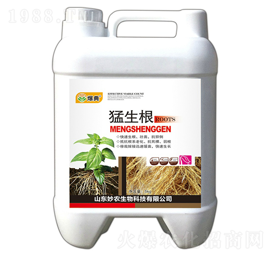 ������-����-���r(n��ng)����