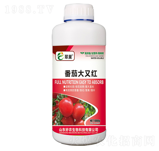 ���Ѵ��ּt-�䳲-���r����