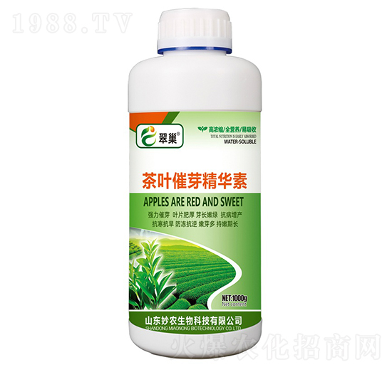 ���~��ѿ���A��-�䳲-���r����