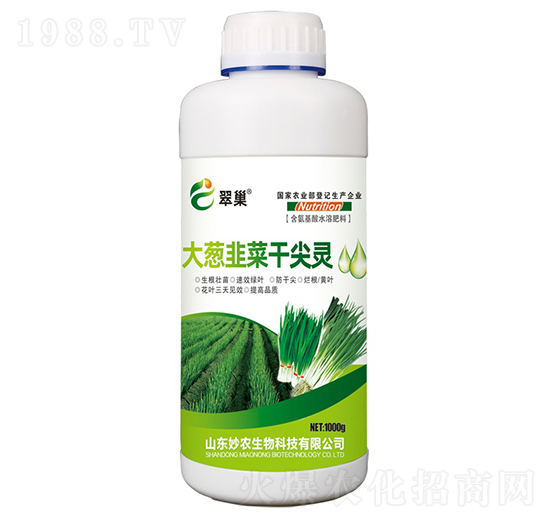 ���[�²˸ɼ��`-�䳲-���r����