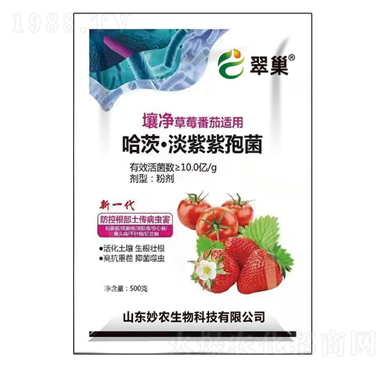 ���ġ��������߾�-�䳲-���r����