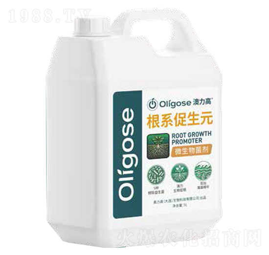 ΢�������-��ϵ����Ԫ-������