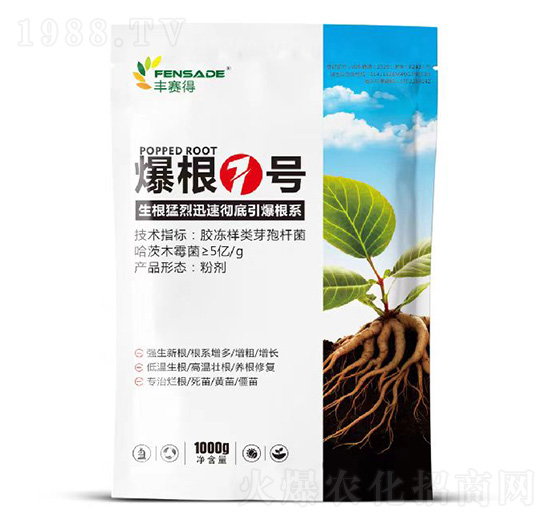 ����1̖(h��o)-�Sِ��