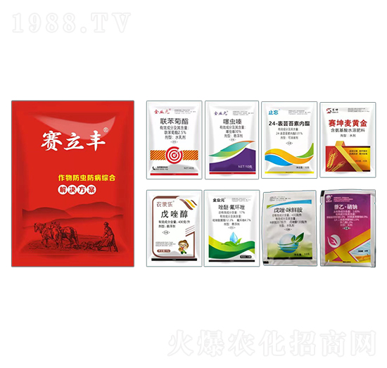 ������x�����C�Ͻ�Q����-ِ���S-ِ���r(n��ng)�I(y��)