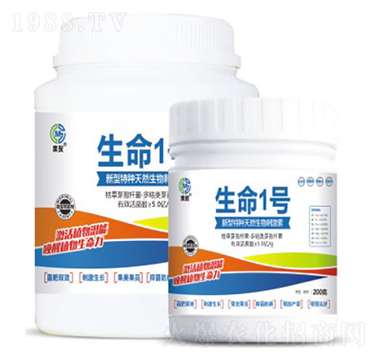 ����1̖(h��o)-��ï����