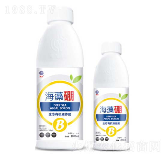 ������-��ï����