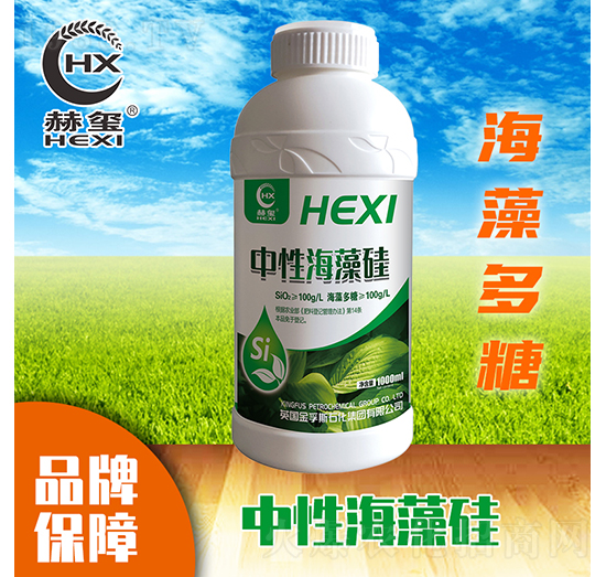 ���Ժ����-�խt