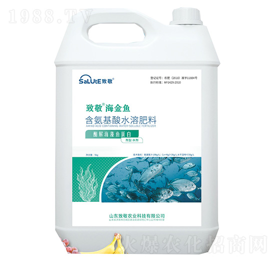 ø�⺣���~(y��)����-�����~(y��)-�¾�