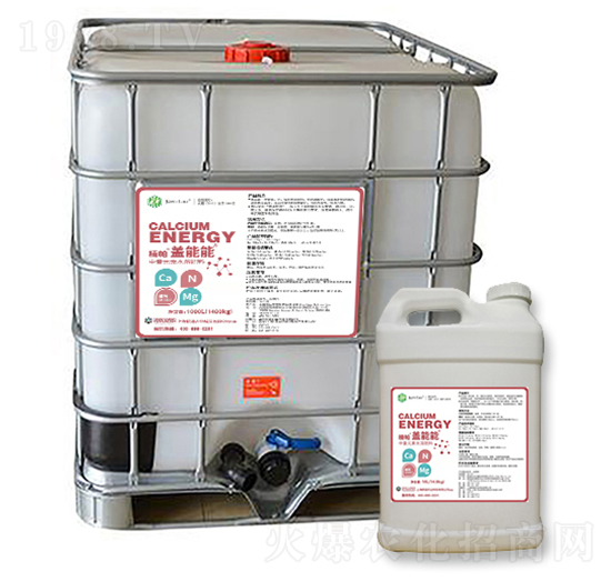 ������w����-����