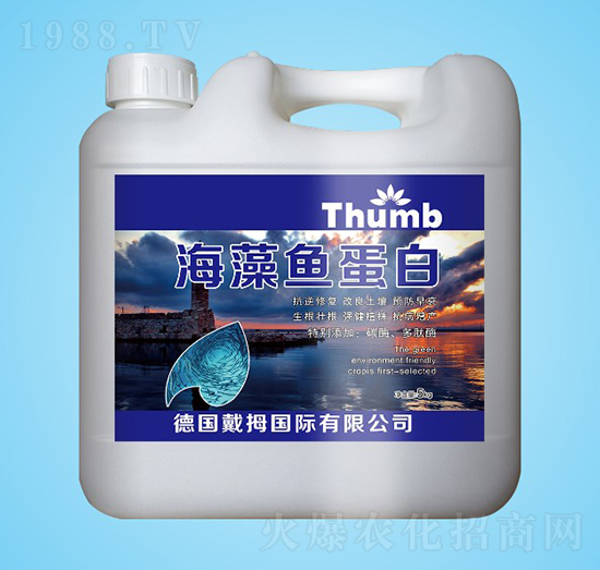 �����~(y��)����-����r(n��ng)�I(y��)