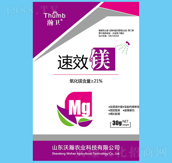 �V��-��l(w��i)-����r�I(y��)