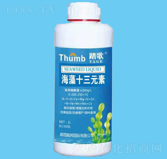 ����ʮ��Ԫ��-̤��-����r(n��ng)�I(y��)