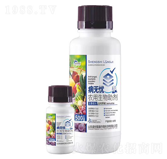 ���o�n-�r(n��ng)����������-ʢ��¡��