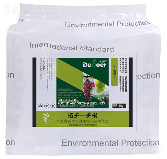 ���o-�o�������ѣ�-�ϸ�