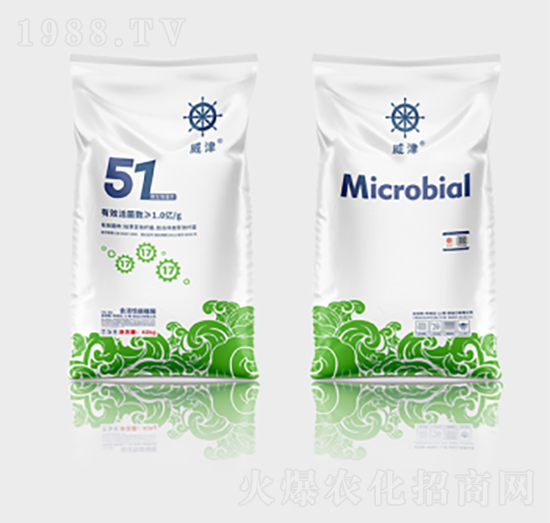 ����ɭ΢�������51��