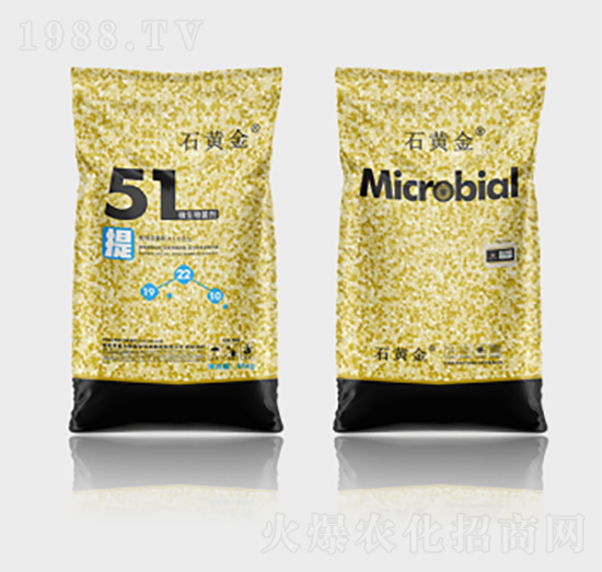 ʯ�S��΢�������51��