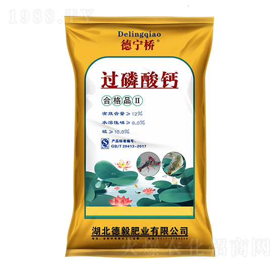 �����^�����}-����ʘI(y��)