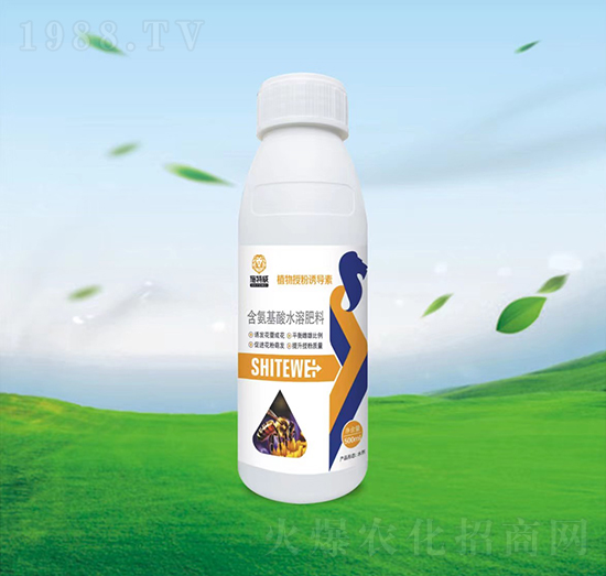 ֲ���ڷ��T����-ʩ����