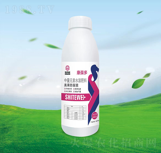 ����������-�����-ʩ����