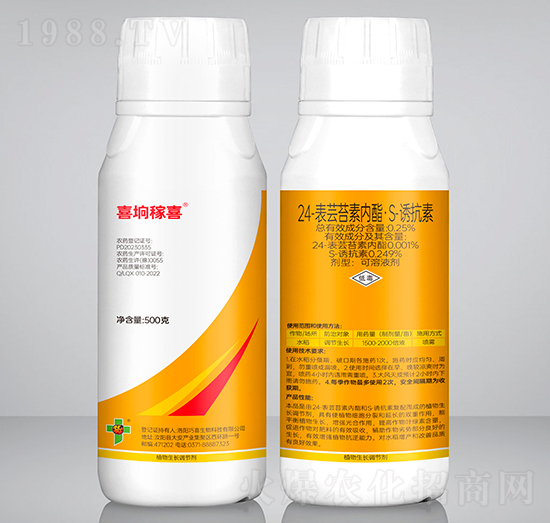 24-���|̦�؃�(n��i)����S-�T����-ϲ�s��ϲ-��ϲ