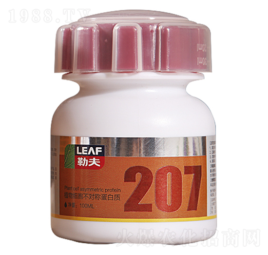 207ֲ�：(x��)������(du��)�Q(ch��ng)�����|(zh��)-�շ�