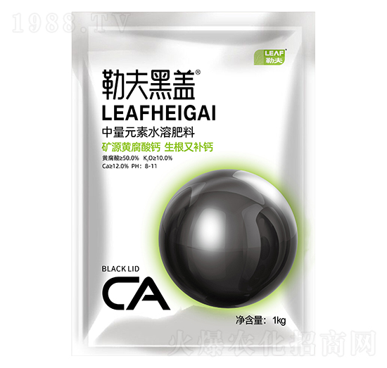 �VԴ�S�����}-�շ���w-�շ�