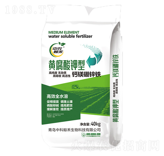 �S��������}�V���\�F-���r(n��ng)�L��