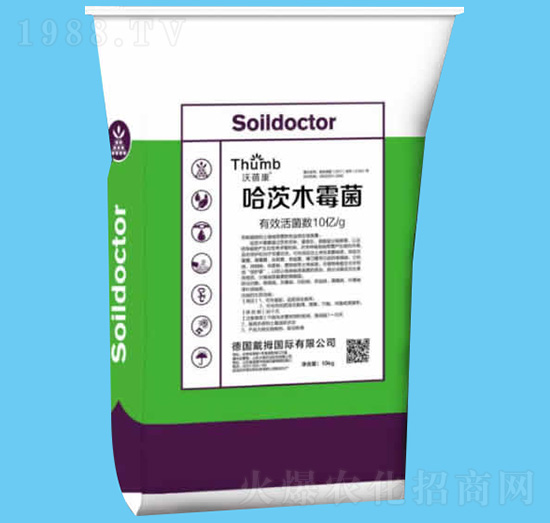 10�|�������ľù��-������-����r(n��ng)�I(y��)