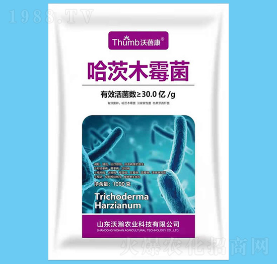 ����ľù����30�|�����-������-����r�I(y��)