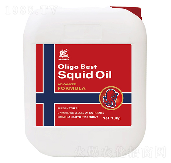 ī�~����-�P��Ԋ(sh��)-�����_