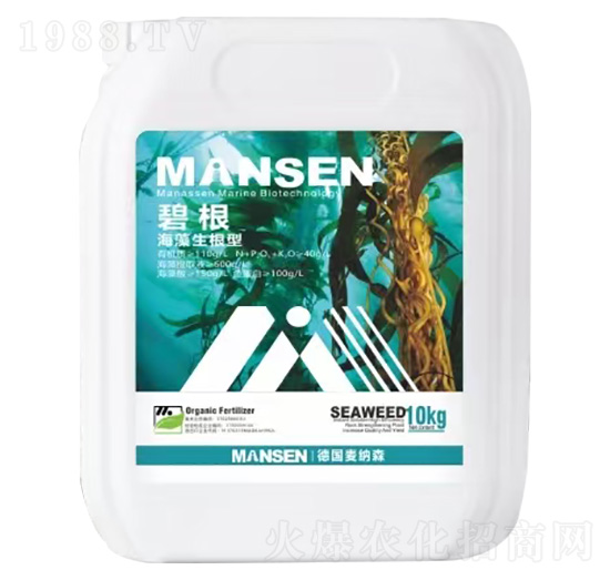 ���������͛_ʩ��-�̸�-���{ɭ