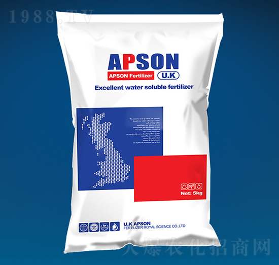 ��������-����-��(��i)����