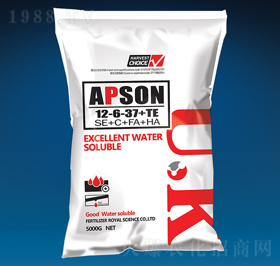 �������12-6-37+TE-��(��i)����