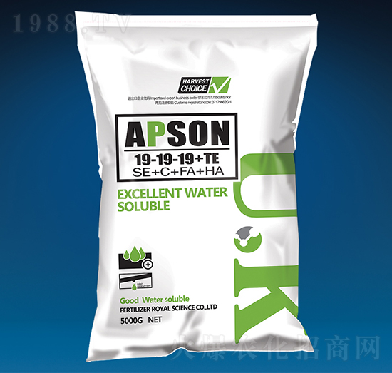 �������19-19-19+TE-������