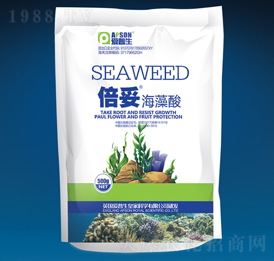 ���ס������ᣨ����-��(��i)����