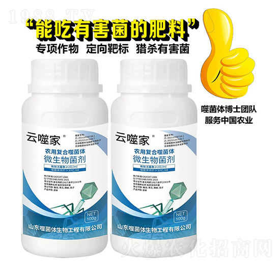 100g΢�������-���ɼ�-�������B(t��i)��