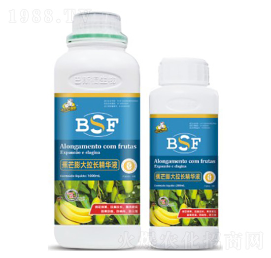 ��â������L���AҺ-��˹��