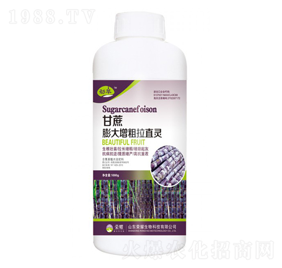 ����������a(ch��n)�أ�ƿ��-����-�sҫ�r(n��ng)�I(y��)