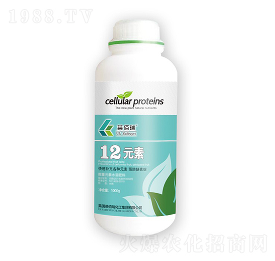 12Ԫ�أ�ƿ��-Ӣ����-�sҫ�r(n��ng)�I(y��)